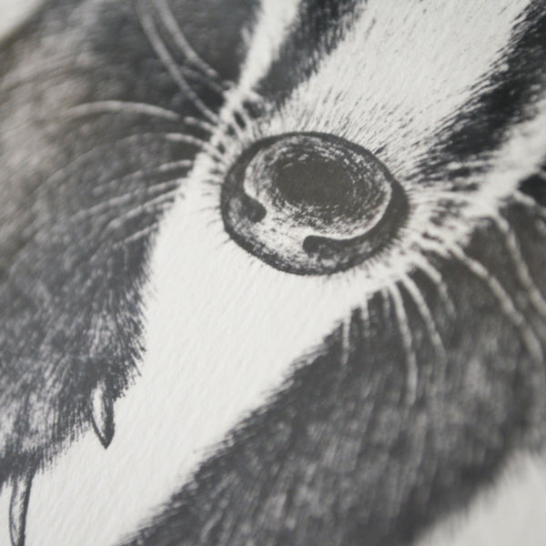 Badger art print.