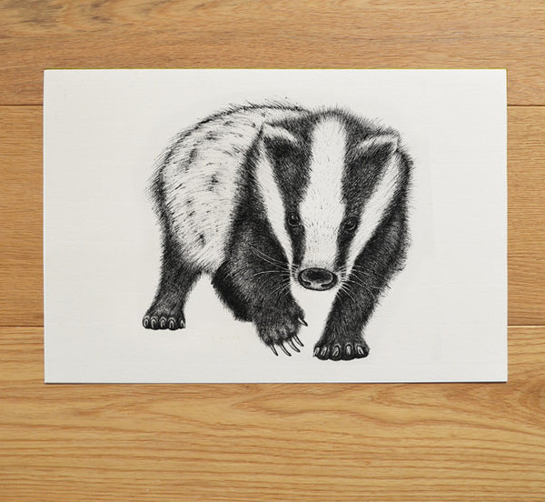 Badger artwork in black ink