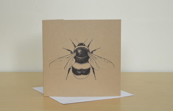 Mix and match 6 illustrated greetings cards.