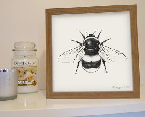 Framed Bumblebee print.