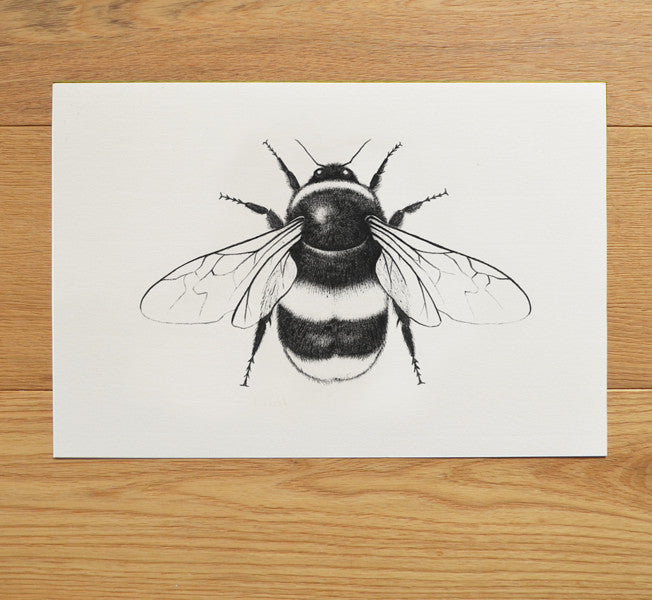 Bumble bee art print.