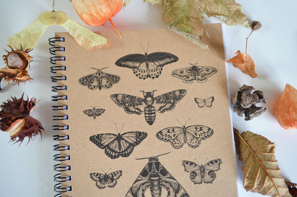 Moth & Butterfly Art - A5 Ethical Journal