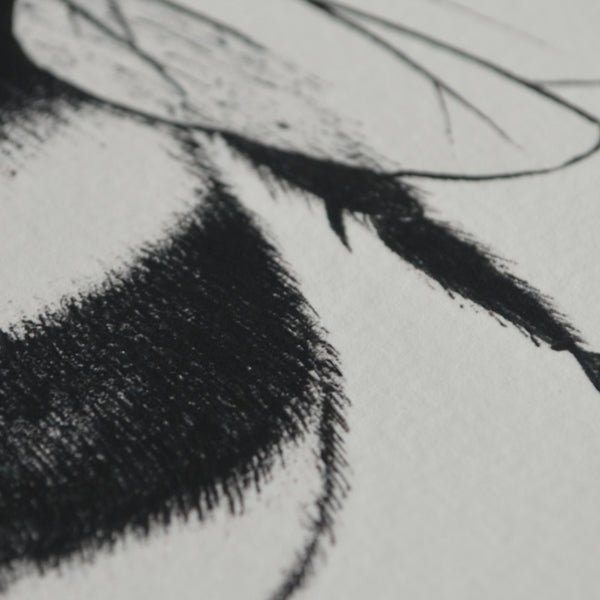 Bumble bee art print.
