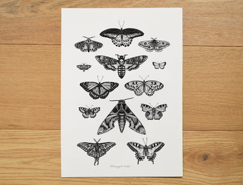Moths & Butterflies art print.