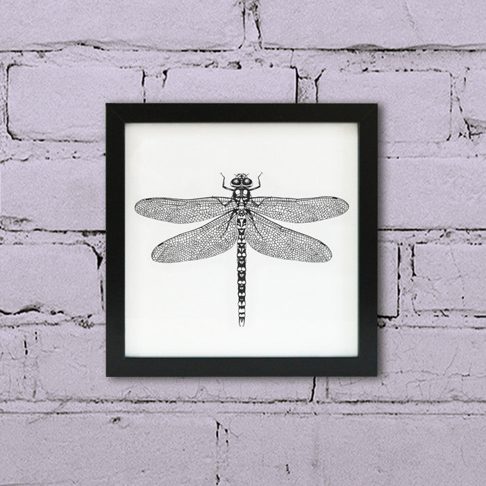 Ink Dragonfly wall art