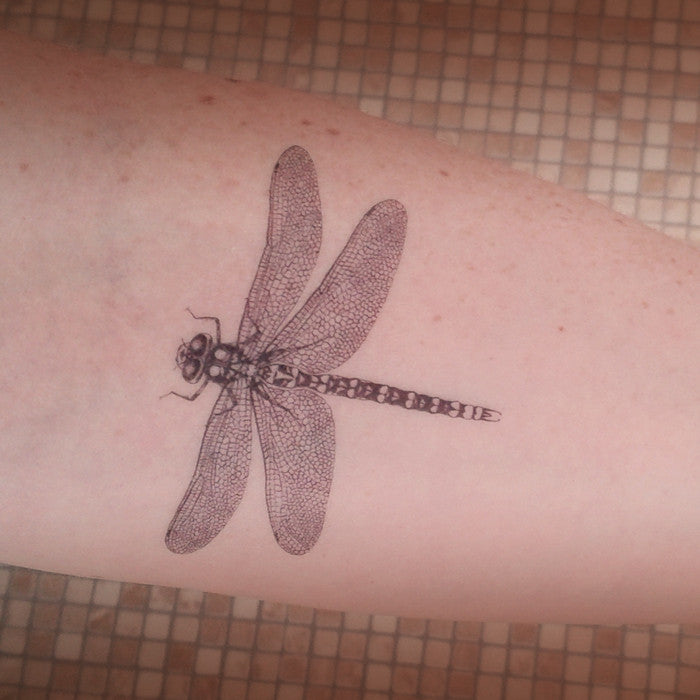 Dragonflies Tattoo - Temu