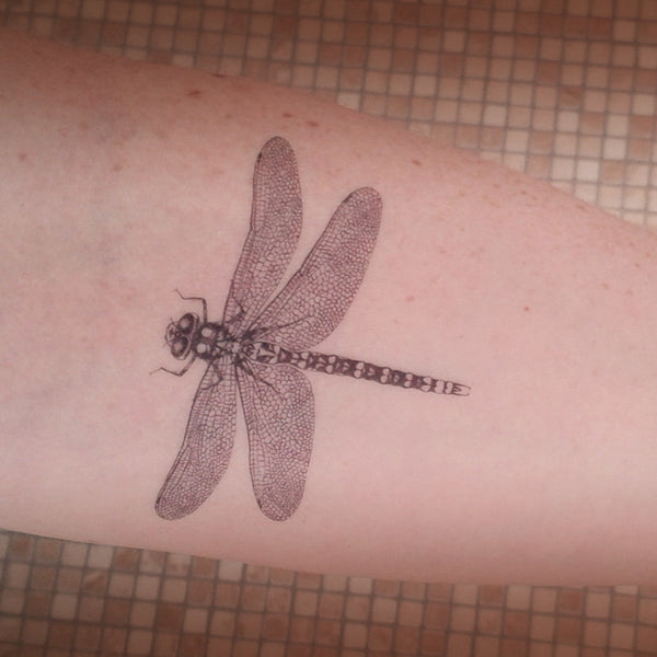 Dragonfly temporary tattoo