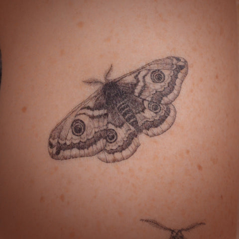 Emperor Moth temporary tattoo