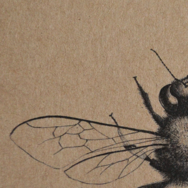 Eco-friendly Honey bee art A6 notebook