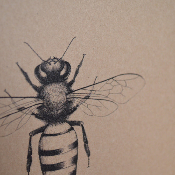 Honey Bee Recycled Greetings Card