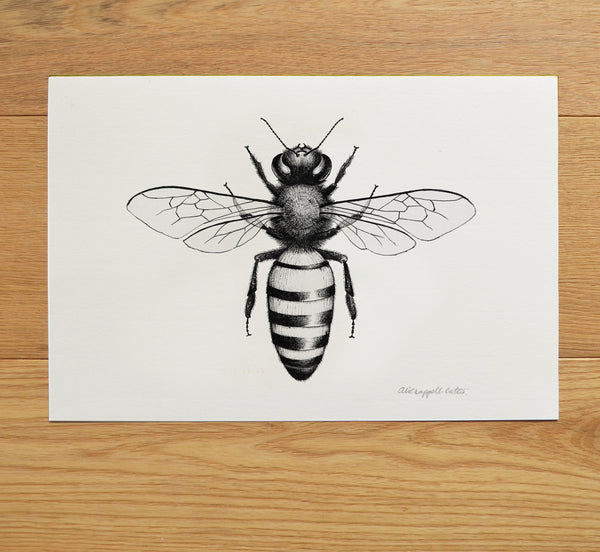 Honey Bee art print.