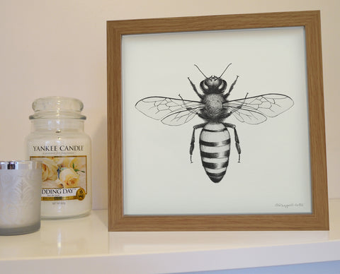 Framed Honey Bee print.