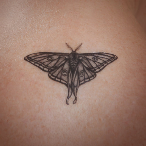 Luna Moth temporary tattoo