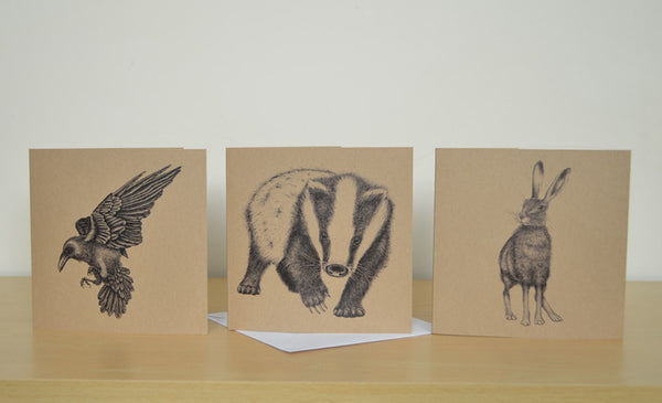 Mix and match 6 illustrated greetings cards.