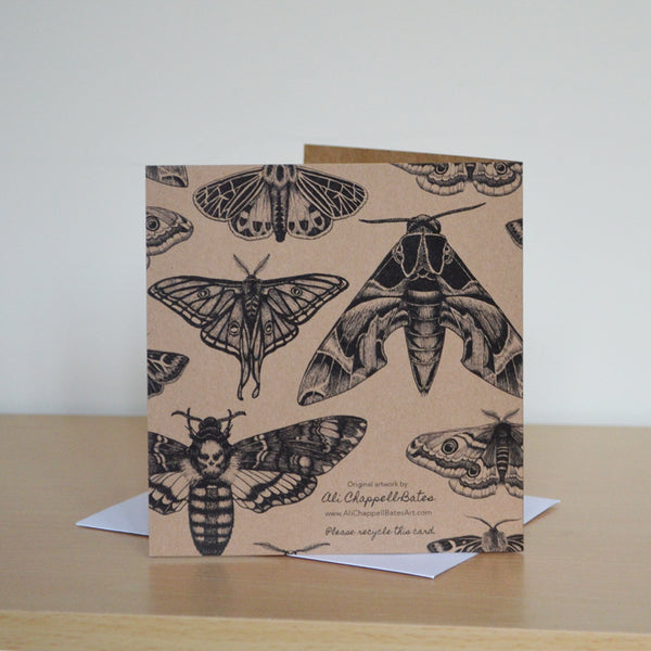Moth collection - recycled greetings card.