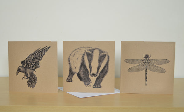 Mix and match 6 illustrated greetings cards.