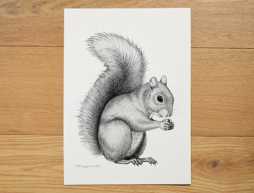 Squirrel art print.