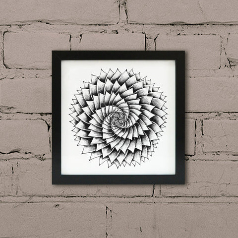 Aloe spiral wall art