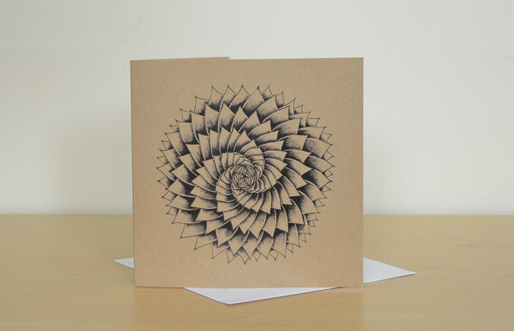 Succulent spiral greetings card.