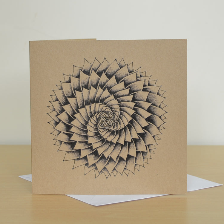 Succulent spiral greetings card.
