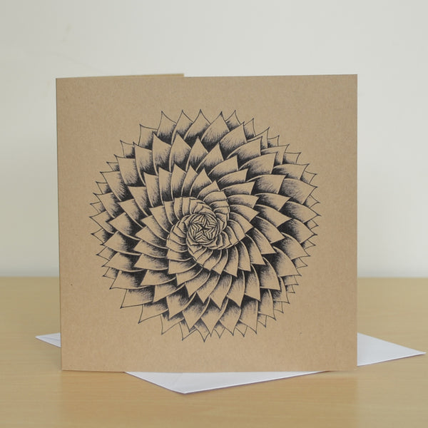 Succulent spiral greetings card.