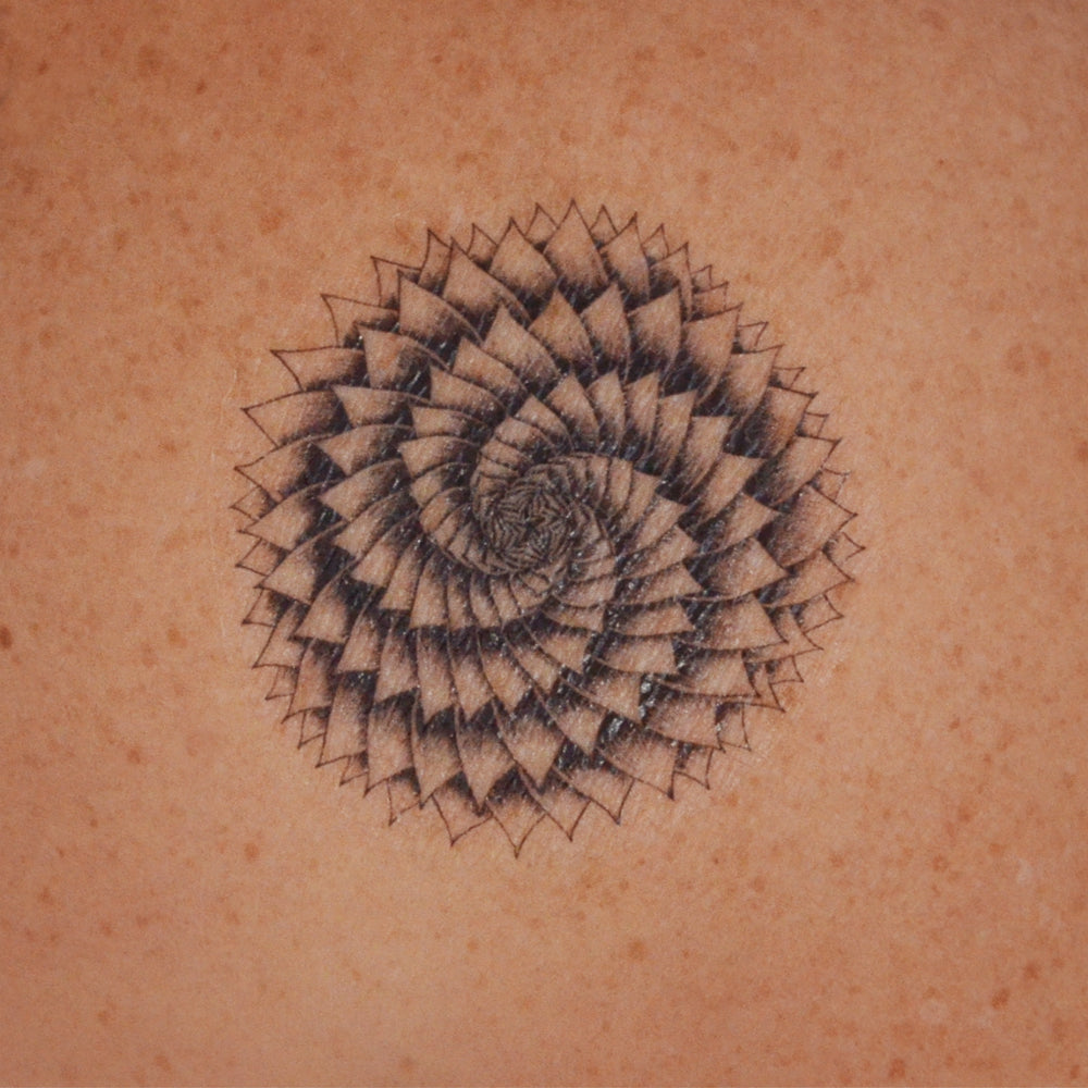 Succulent Spiral Aloe temporary tattoo