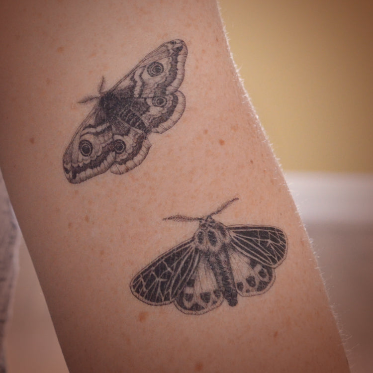 Emperor Moth temporary tattoo